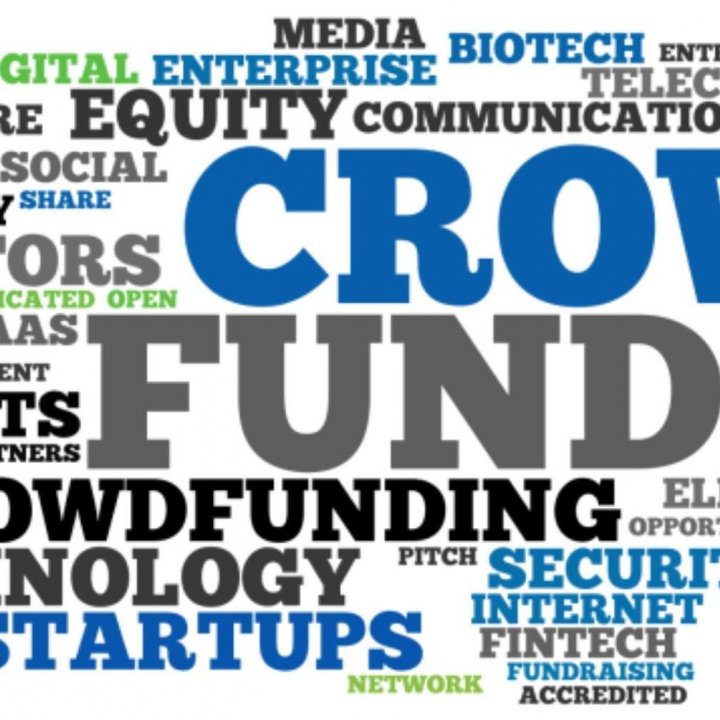 Crowdfunding: Wise to Bank on the Wisdom of the Crowd?